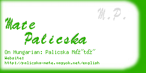 mate palicska business card